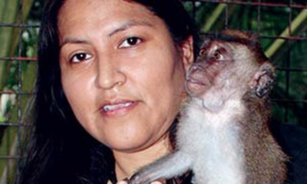 Primates draw Diné anthropologist to the Philippines