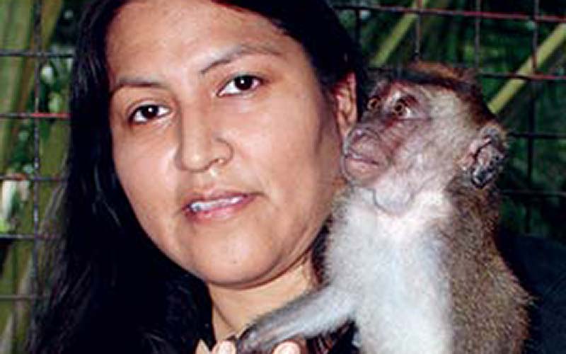 Primates draw Diné anthropologist to the Philippines