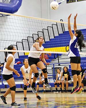 Whitehorse volleyball team relying on seniors