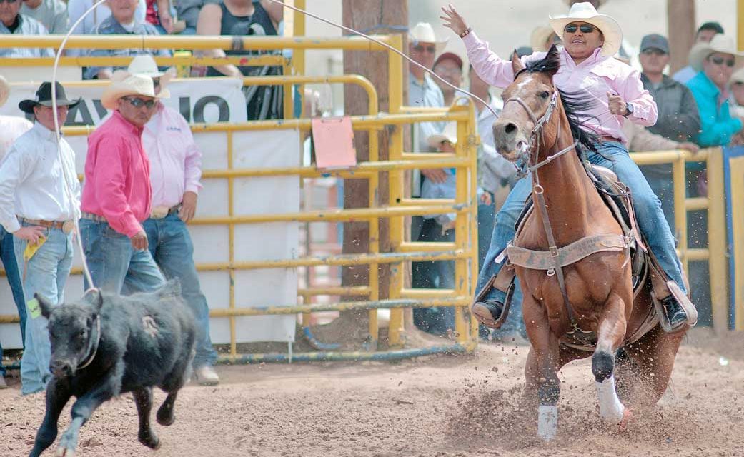 Yazzie, Chee win average, Final Four at fair rodeo