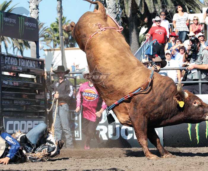Local stock contractor’s bull chosen for PBR World Finals