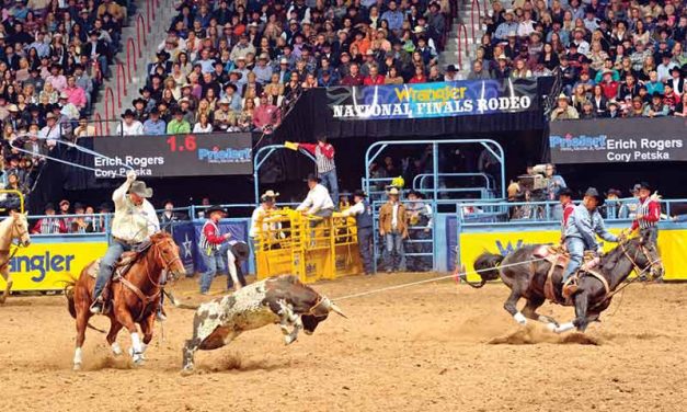 Rogers, partner place seventh in team-roping average