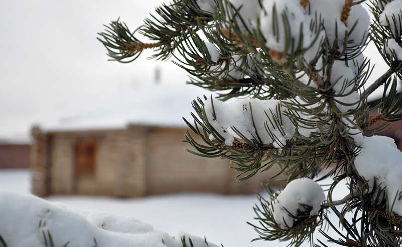 Snow is pretty; won’t redeem lousy water year