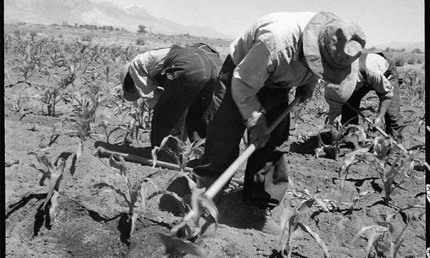 50 Years Ago: Program to replace Mexican workers with Navajos hits a few snags