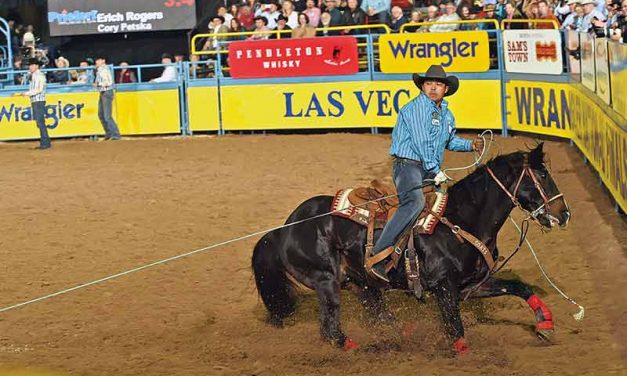 Professional team roper Erich Rogers hits another milestone, wins BFI