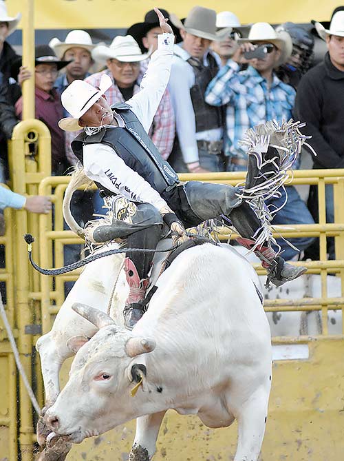  Tuba City bull rider Justin Granger covered one of two bulls to win the $15,000 winner take all jackpot at the 2015 MegaBucks BullRiding on Saturday night. Granger rode “Ricardo Cartel” for 87 points in the long go round. (Times photo – Donovan Quintero)