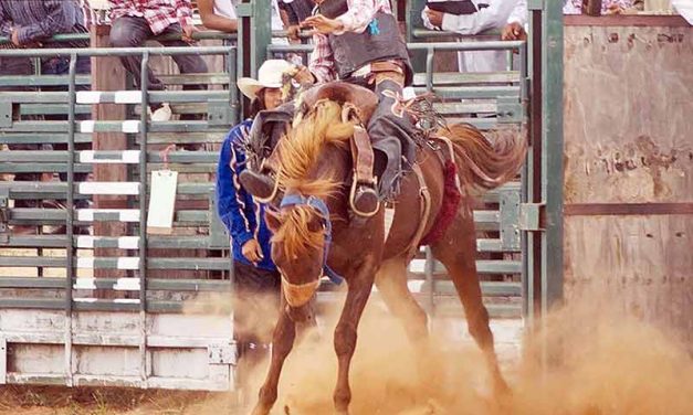 Shonto Rodeo still seeing success after 54 years