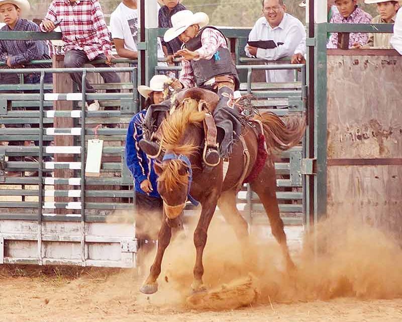 Shonto Rodeo still seeing success after 54 years