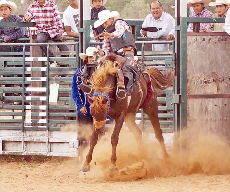 Saddle bronc rider Wyatt Betoney scored a 59-point ride aboard “Navajo Nation” at the 54th annual Shonto Rodeo on Saturday afternoon. (Times photo – Krista Allen)