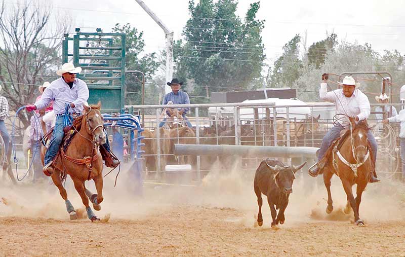 Page tie-down roper makes most of lucky break