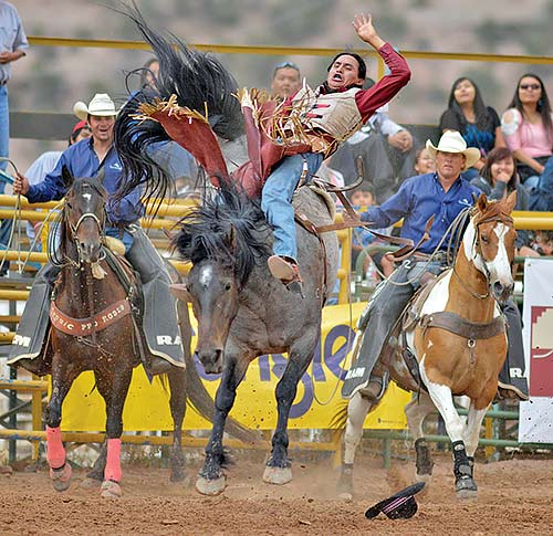 Harvey finds success and education through bareback