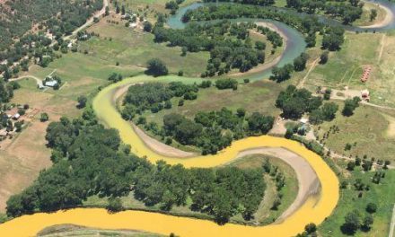 Council reacts to report on Gold King spill