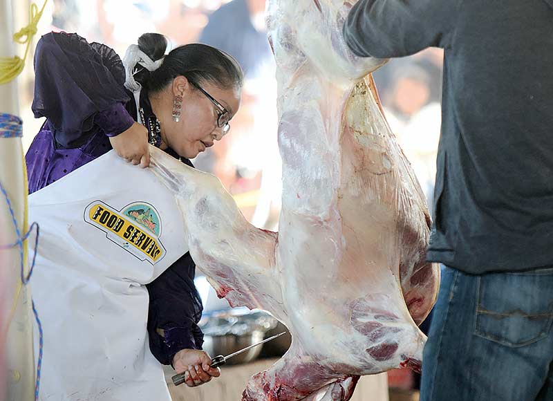 Donovan Quintero Navajo Times Miss Navajo contestant Ann Marie Salt competes in the Miss Navajo butchering contest Wednesday in Window Rock.