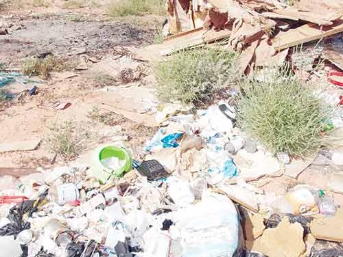 Tackling trash