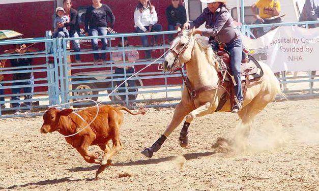 Northern Navajo Fair