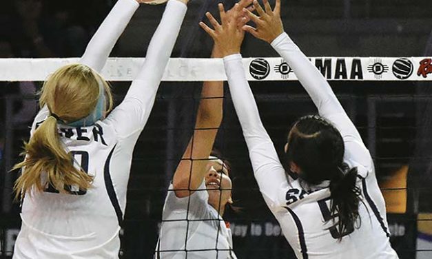 New Mexico state volleyball: Silver turns back Wingate in quarters