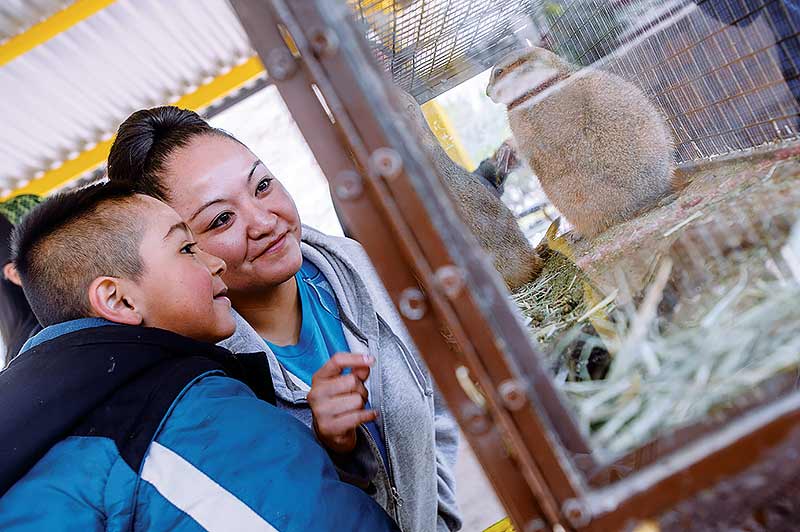 Navajo Times | Adron Gardner William Sells, 6, left, and Pamela Bahe peer through glass at a groundhog during the 9th annual Zoo Fest at the Navajo Nation Zoo in Window Rock Saturday.