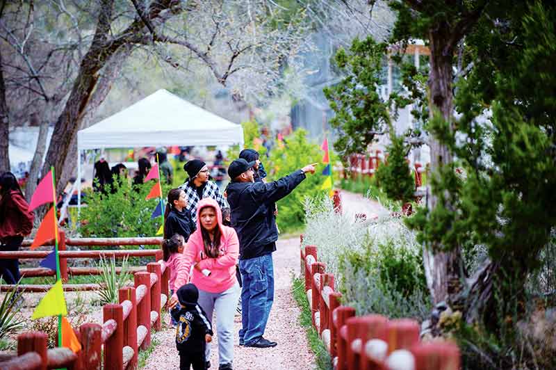 Navajo Times | Adron Gardner Visitors make their way through exhibits during the 9th annual Zoo Fest at the Navajo Nation Zoo in Window Rock Saturday.