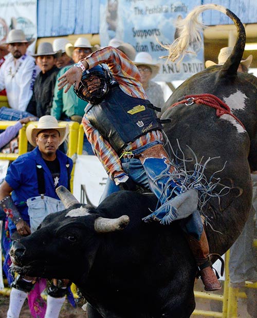 Navajo Times | Ravonelle Yazzie Bull rider Donnie Francis covered one of two bulls and won the $10,000 cash prize at this year’s MegaBucks Bullriding in Window Rock on Saturday. Francis finished with a top score of 87 points.