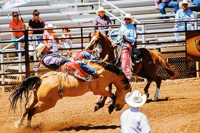 Navajo Times | Adron Gardner Andric Johnson, of Round Rock, attempts a bareback ride during the state finals of the Arizona High School Rodeo Association in Payson June 9.  Johnson finished the year-end standings in third place. 