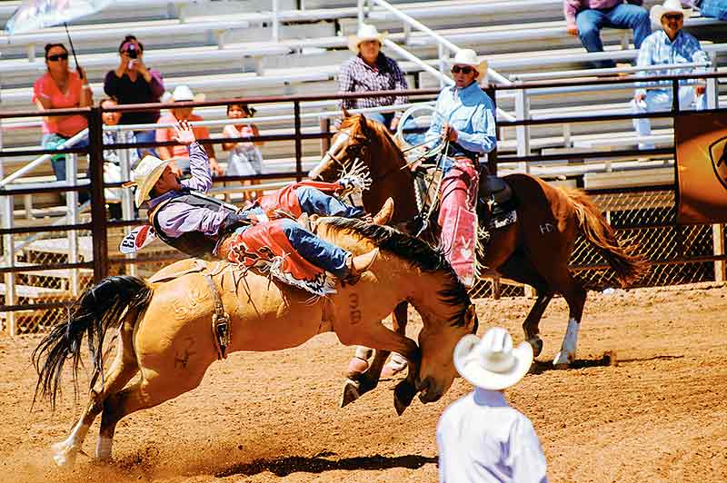 Many Farms bareback rider looking to build on momentum