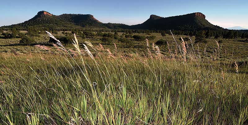 Zinke recommends altering Bears Ears; advocates vow to fight