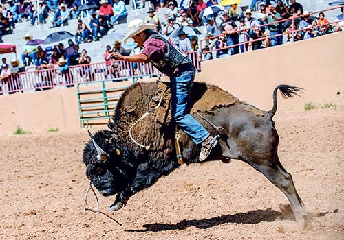 Old School Rodeo brings new challenges