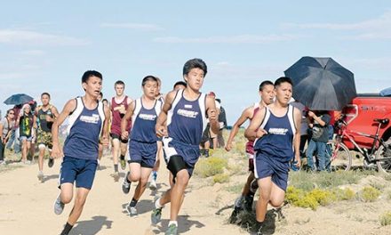 Alamo Navajo boys get pushed, but wins Tohatchi meet