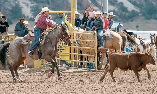 IIFR: A rodeo for the people