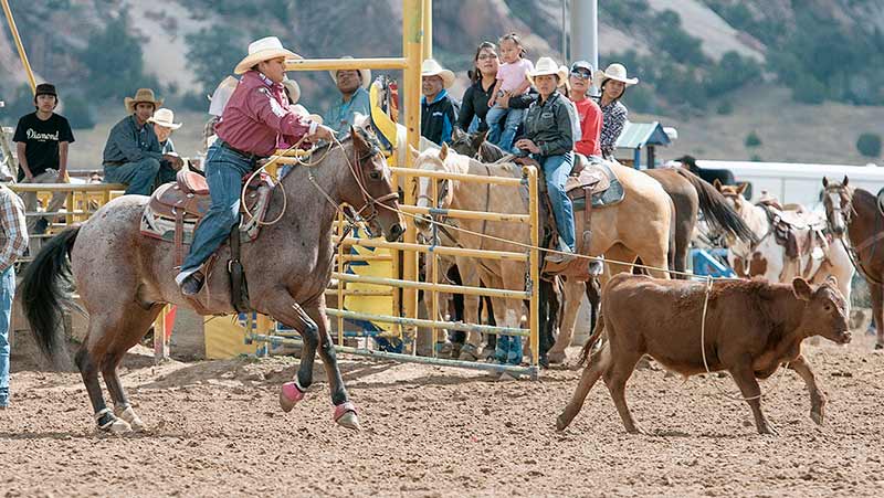 IIFR: A rodeo for the people
