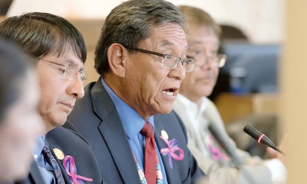 Begaye calls for joint task force