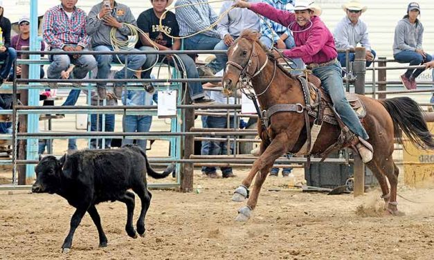 Preparation and luck make all the difference at the Northern Navajo Fair Rodeo