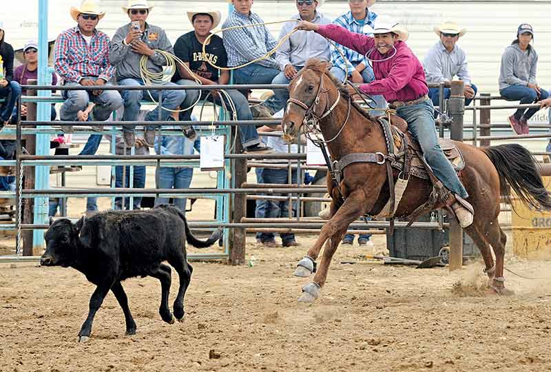 Preparation and luck make all the difference at the Northern Navajo Fair Rodeo