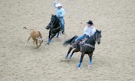 Veteran steer-wrestler grapples his way to the top