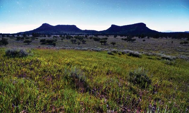 Letters: Urgent issues outweigh need for Bears Ears lawsuit
