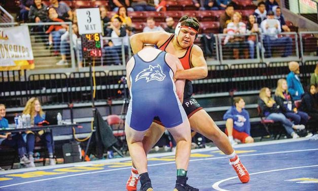 Local grapplers fare well at state