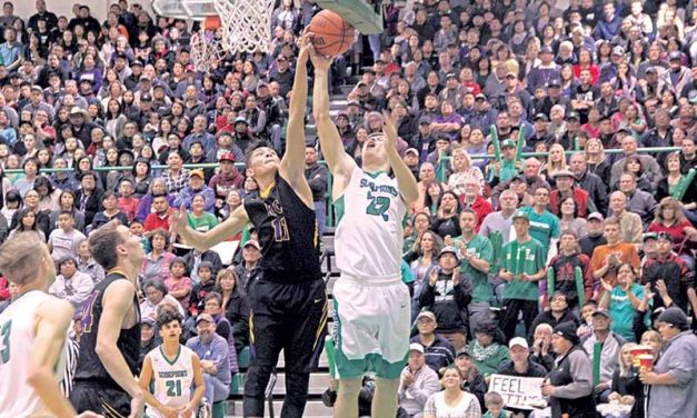 N.M. state playoffs