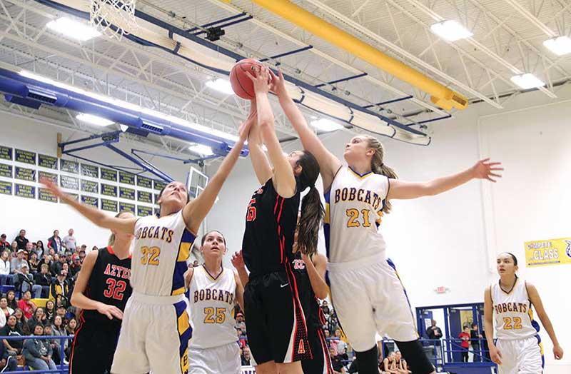 Girls basketball: area teams unhappy with state seedings