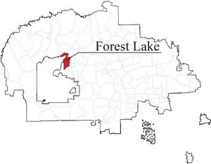 Forest Lake in the dark due to electricity shutoff