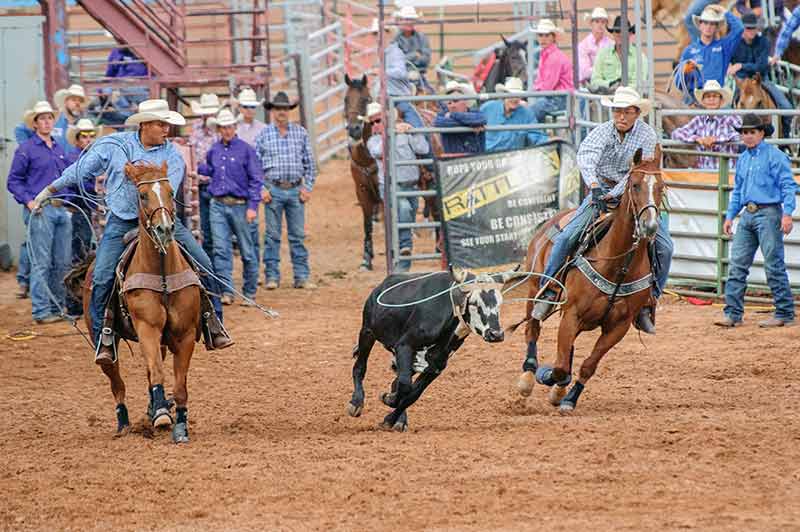 Young cowboys prove they’re among the best