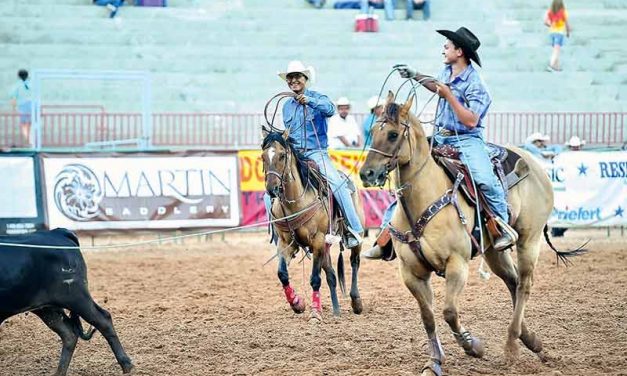 Practice makes perfect for local team ropers