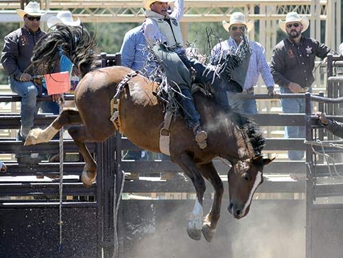 Four local high school cowboys qualify for nationals