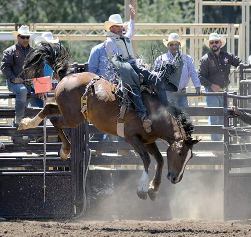 Four local high school cowboys qualify for nationals