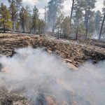 Brush fire near Highway 264 contained as fire crews monitor hot spots