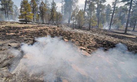 Brush fire near Highway 264 contained as fire crews monitor hot spots