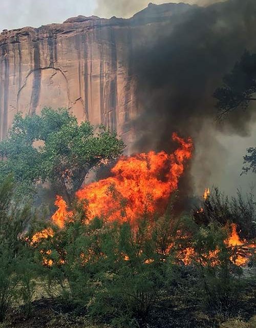 Fires popping up in spite of restrictions