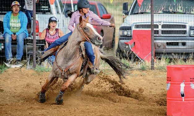 Navajo Mountain cowgirl bounces back