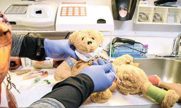 Teddy bears reach stubby paws out to community