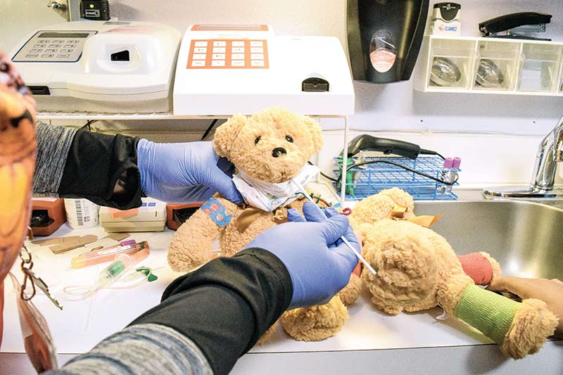 Teddy bears reach stubby paws out to community