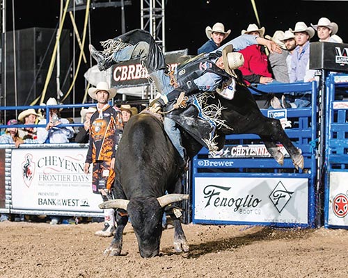 Bull tries to buck off cowboy